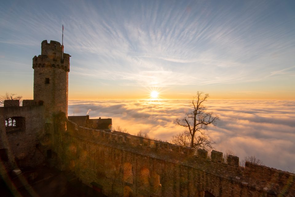 Bodennebel – Foto von natur.hoch.drei