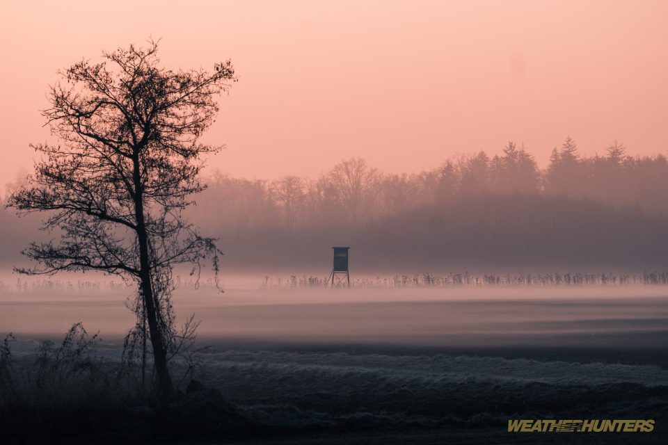 Wintermorgen