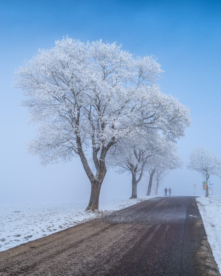 Gefrierender Nebel am Witthoh, 13. Januar 2024