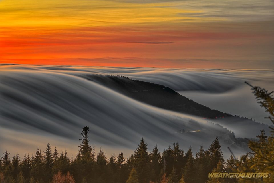 Nebelwelle im Nordschwarzwald