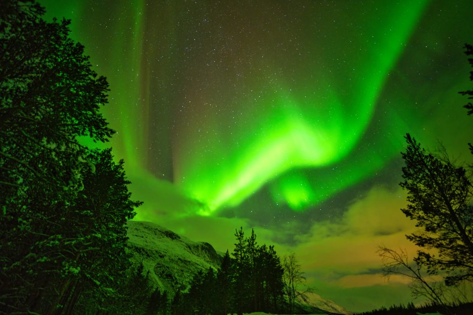 Nordlicht