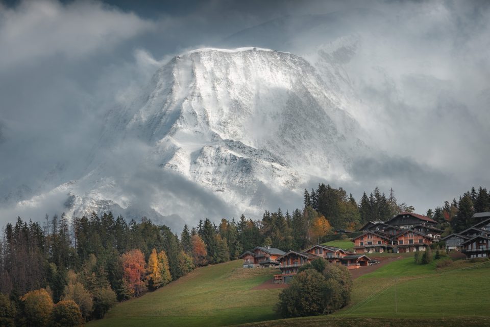 white autumn