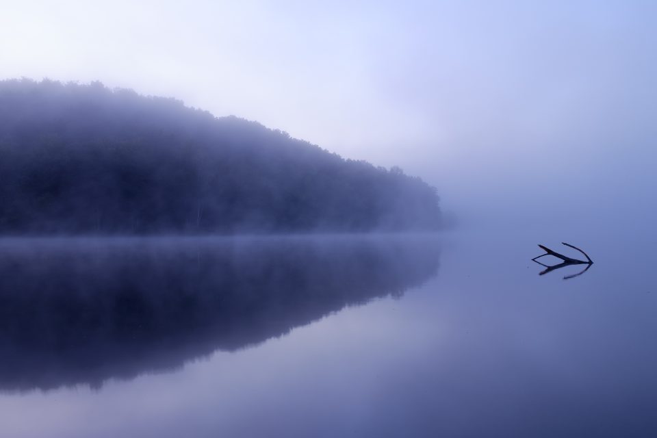 Nebel am Morgen