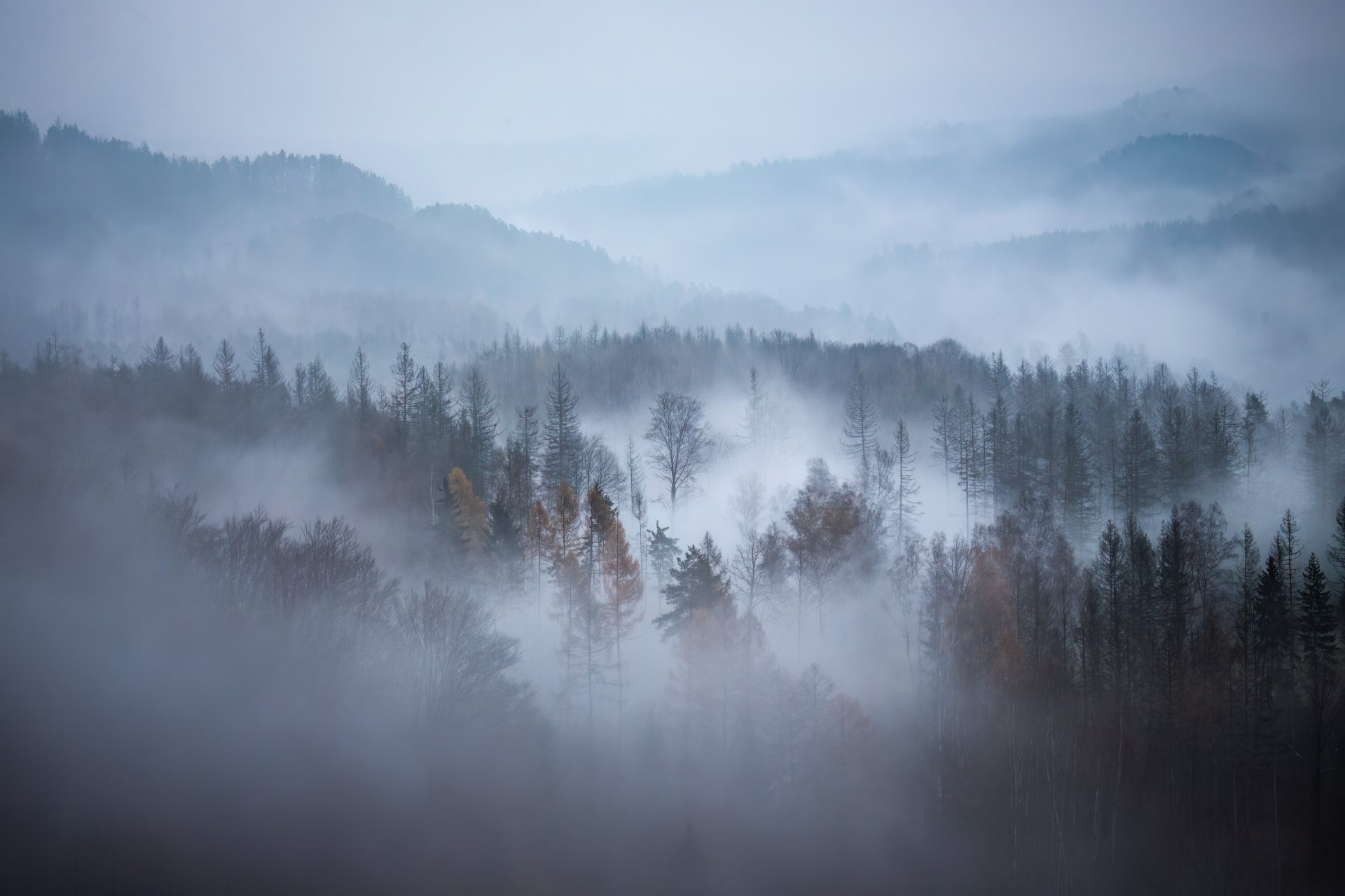 Nationalpark Sächsische Schweiz – Foto von Christoph Schaarschmidt