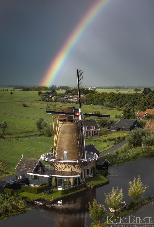 dutch rainbow