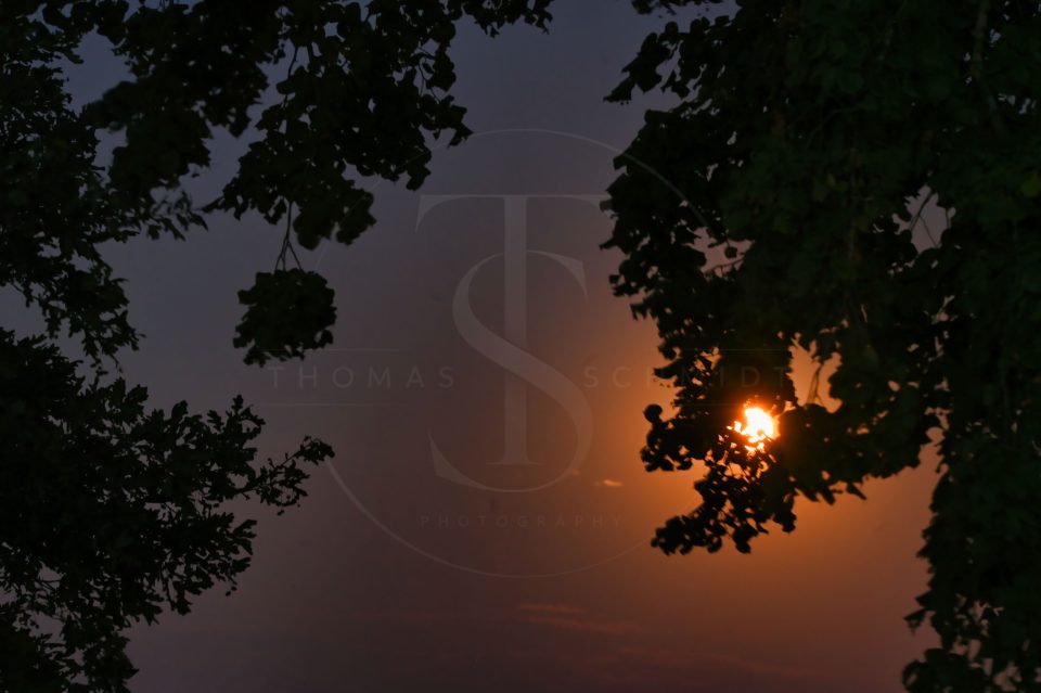 Mond