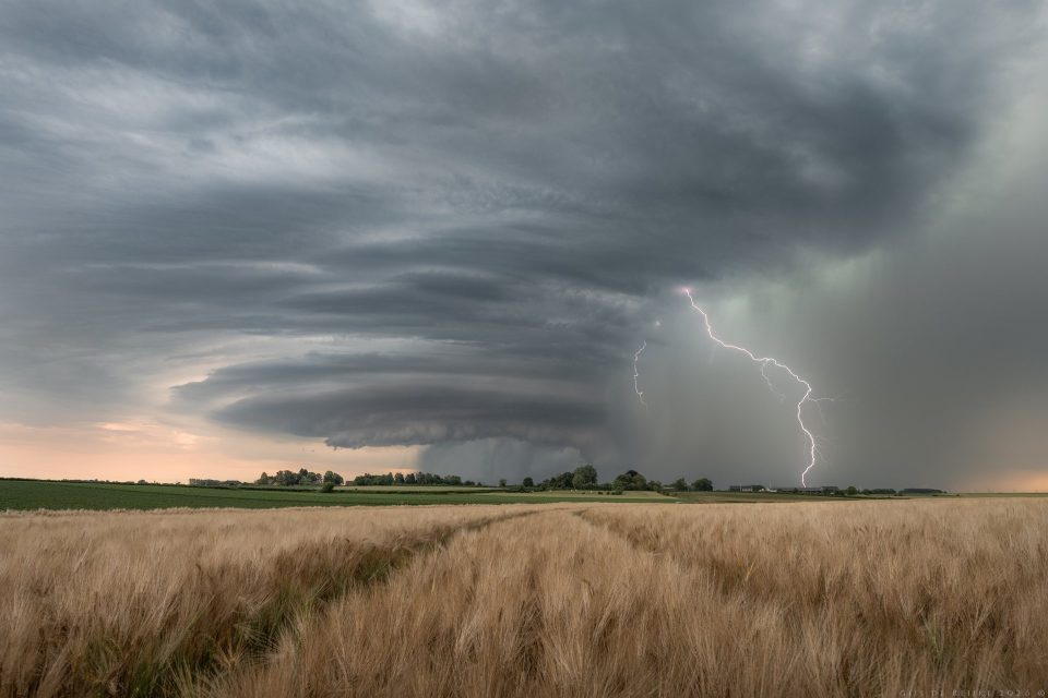 Twisting And Striking