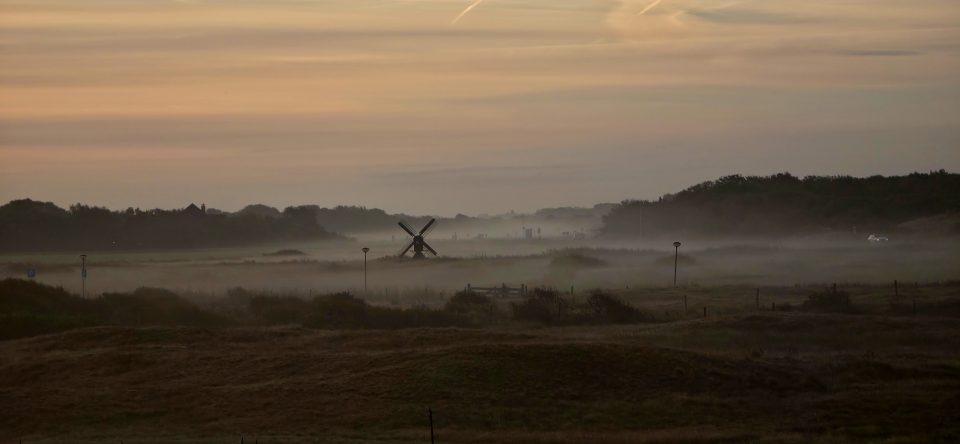 Bodennebel