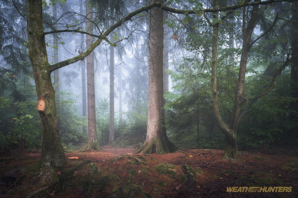 Mystical