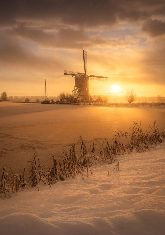 Snow and golden light