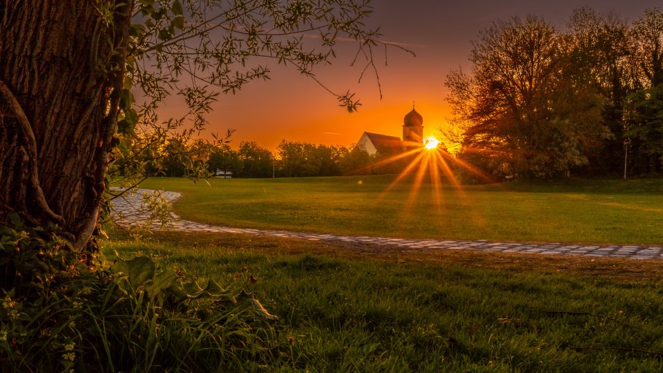 Die Morgensonne erhellt den Park