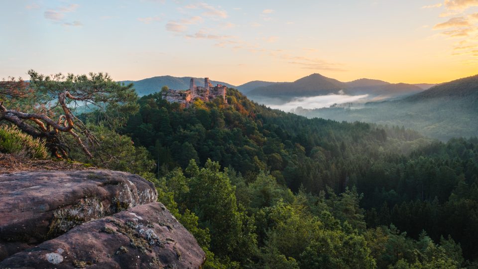 Leichter Nebel über Burg Altdahn