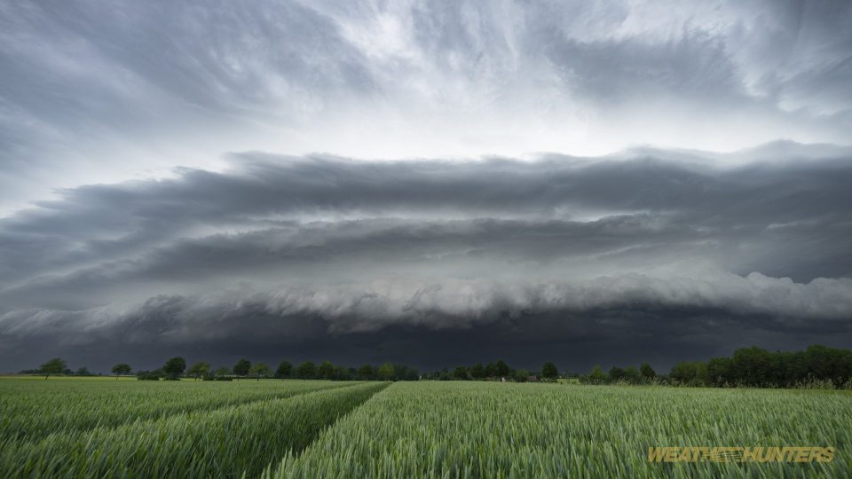 Shelfcloud