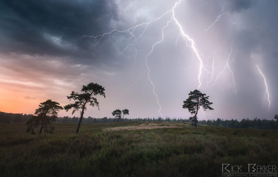 Summer Lightning
