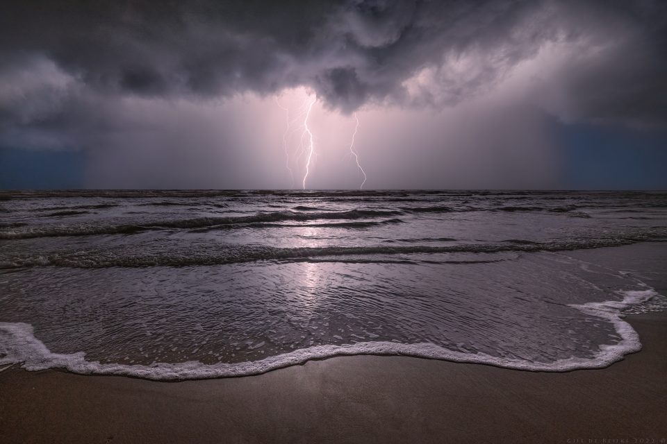 Einzelzelle – Foto von Gijs de Reijke