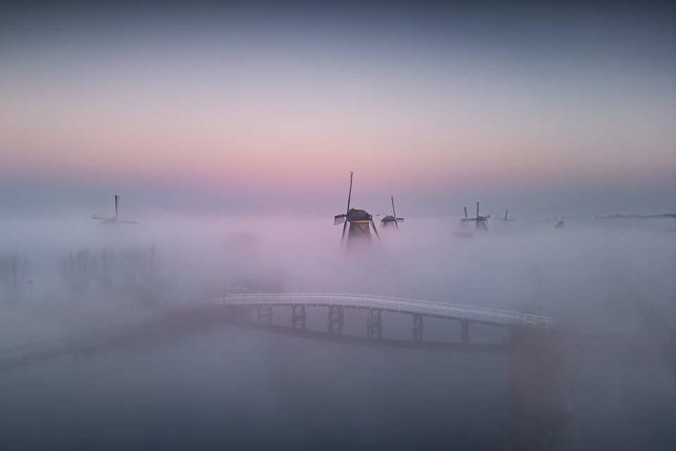 Perfect Fog