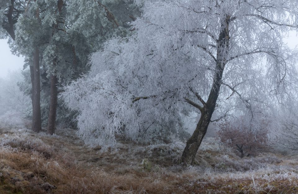 Freezing fog
