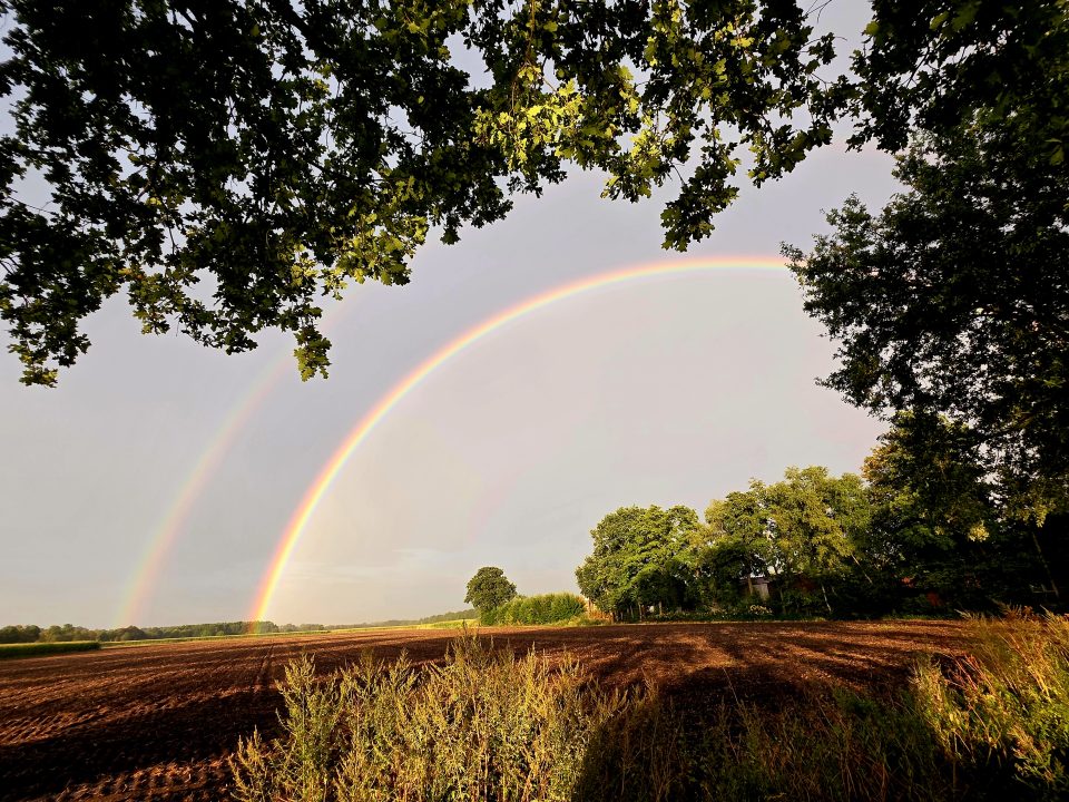 Regenbogen 20.08.2026