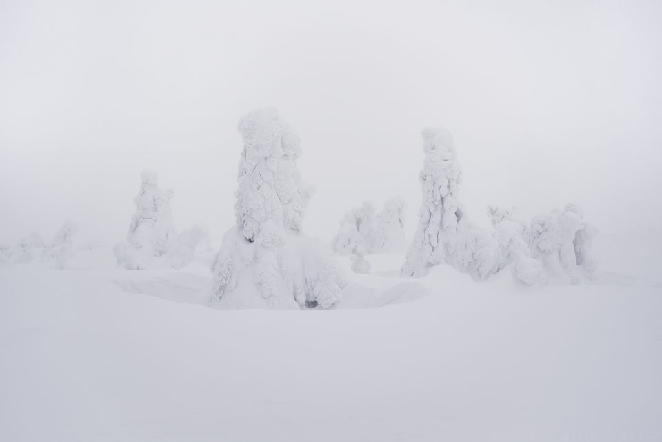 Whiteout