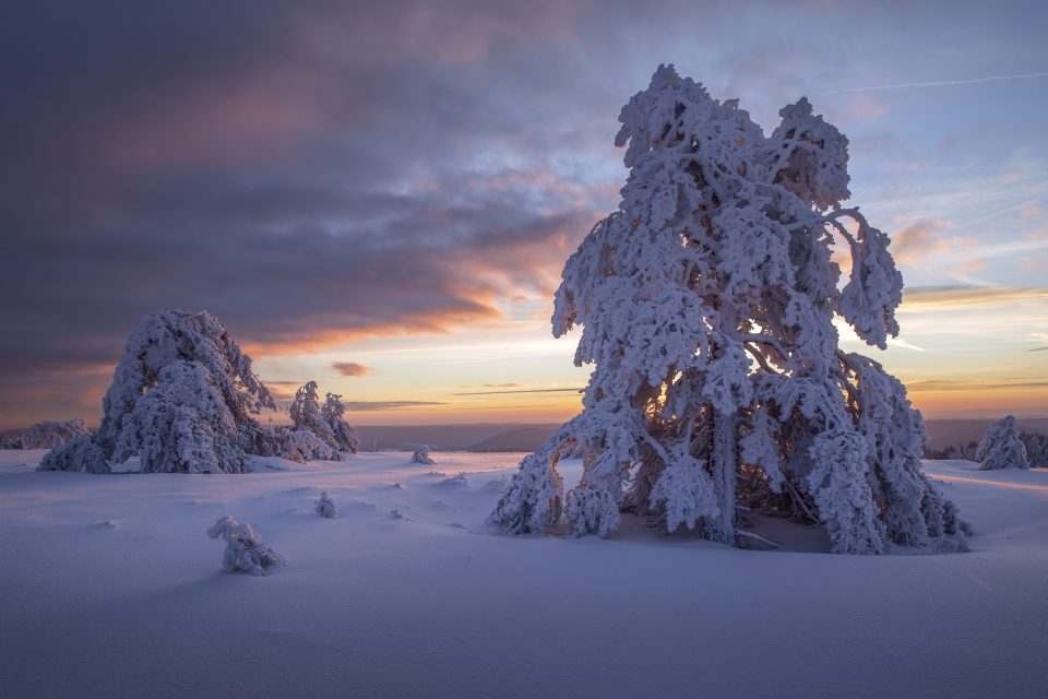 Cold Sunrise