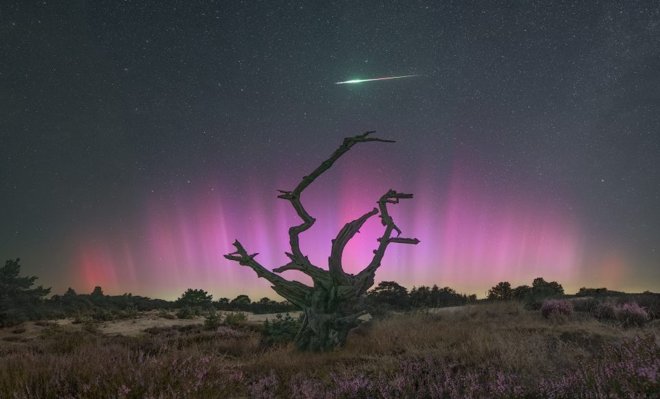 G4 And The Perseid