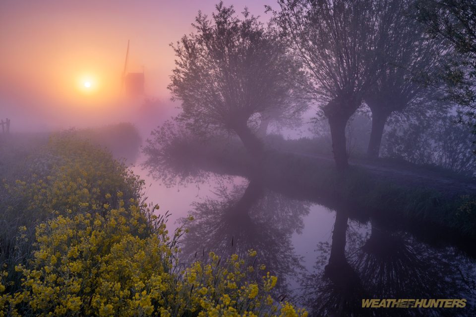Bodennebel am Kanal