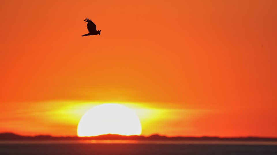 Sonnenuntergang