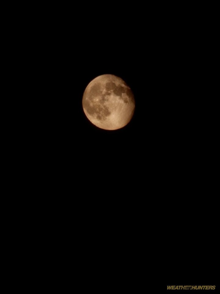 Mond