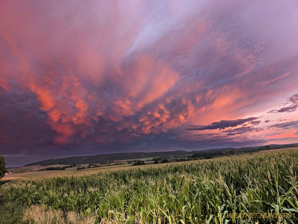 Mammatus