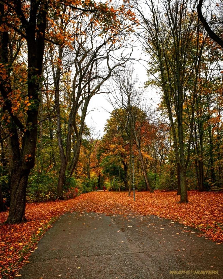 Herbstlandschaft