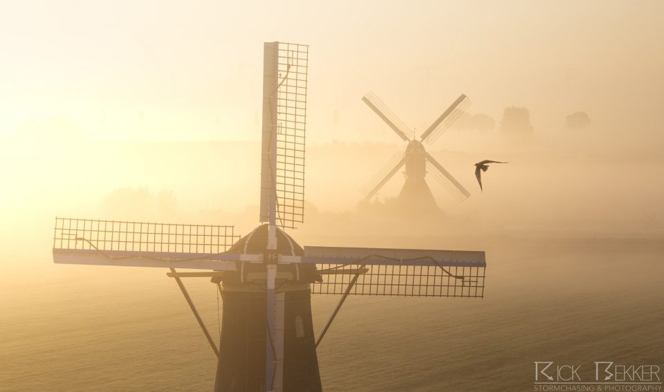 Foggy windmills