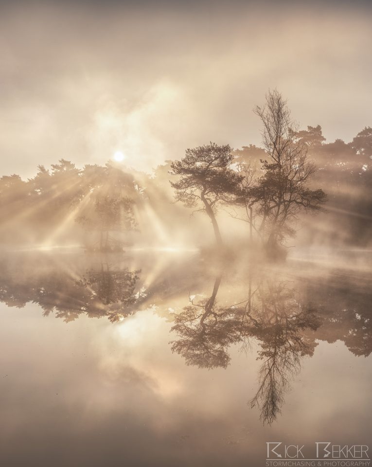Morning magic