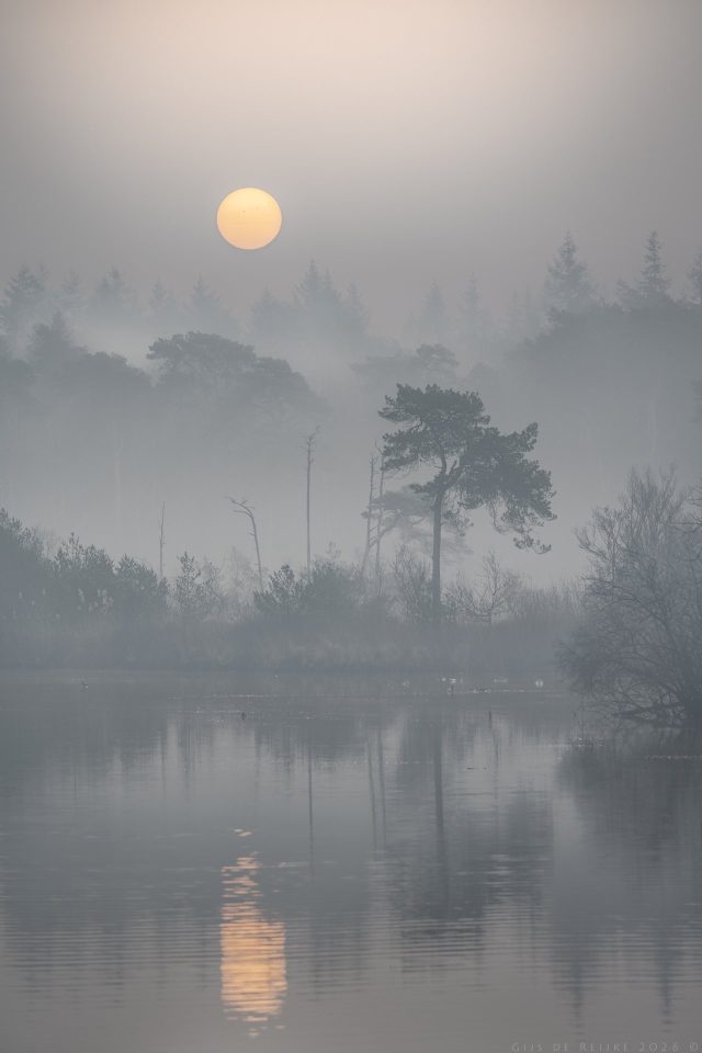 Saharan Dust, Dutch Fog