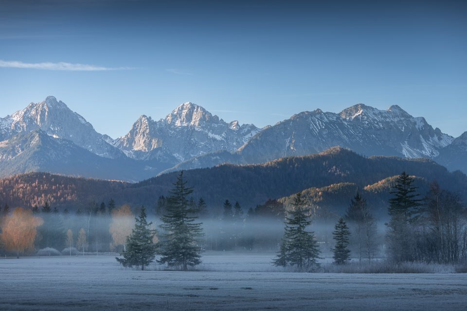 Late autumn