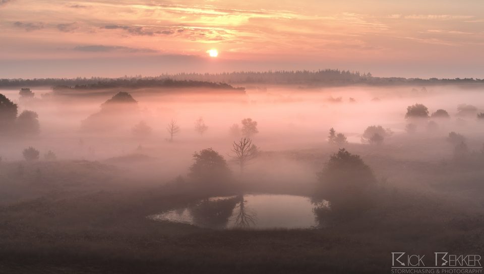 morning fog
