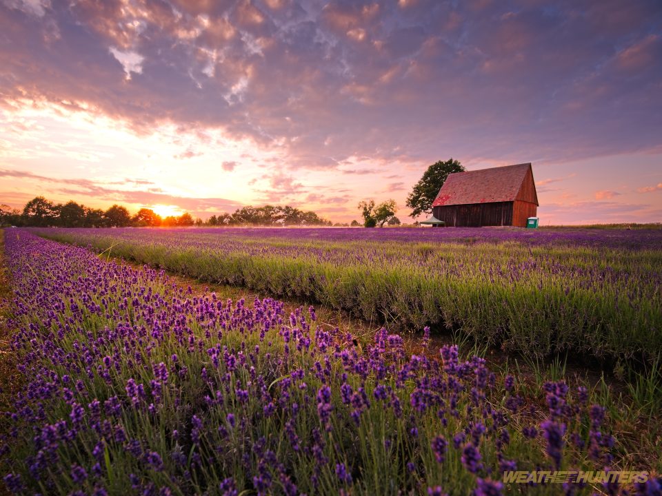 a touch of provence