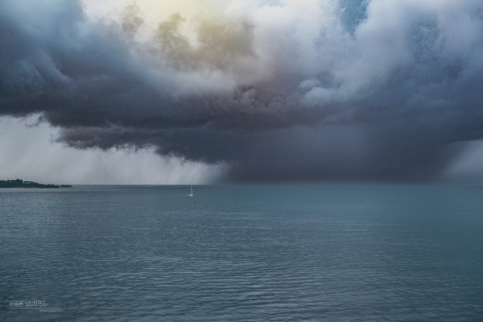 Regenschauer – Foto von Spiderl-ing38
