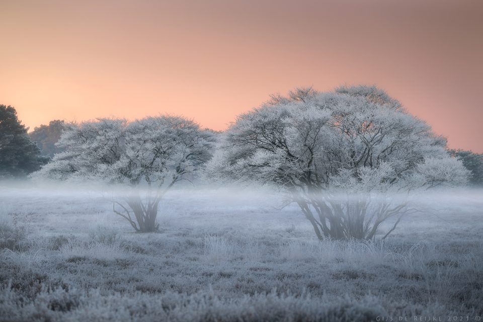 Raufrost – Foto von Gijs de Reijke