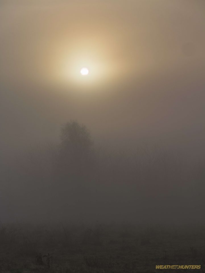 Morgennebel