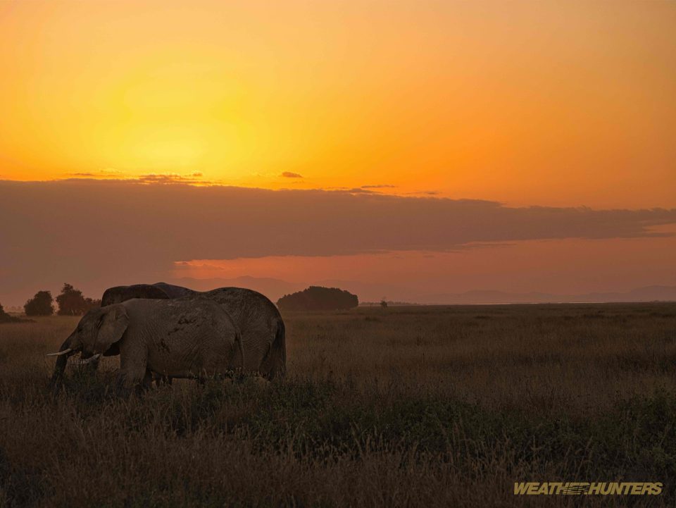 Sundowner