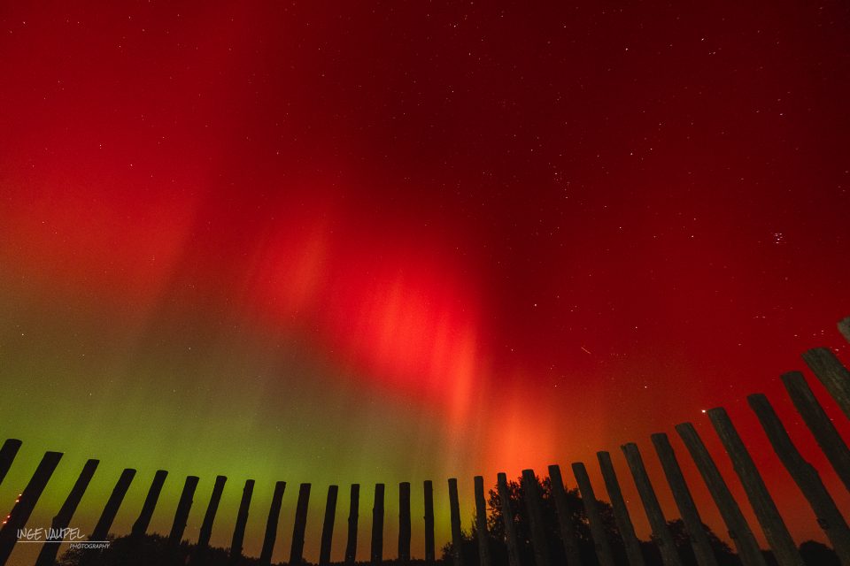 Grünes Polarlicht – Foto von Spiderl-ing38