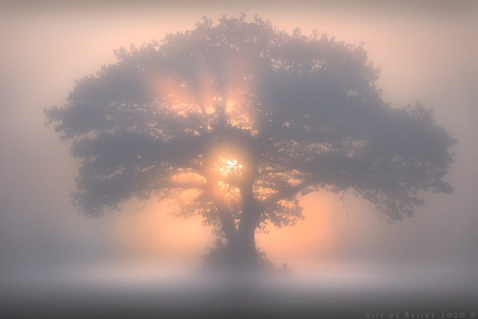 Silhouette