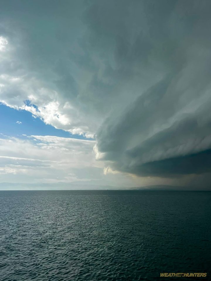 Capillatus – Foto von Bodensee Chaser FN