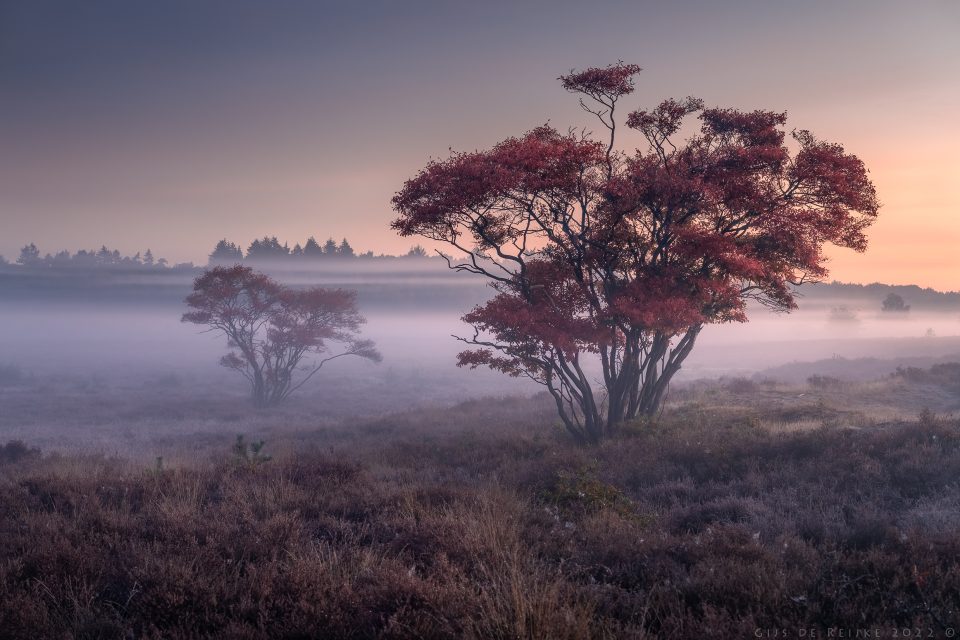 Fog Layers