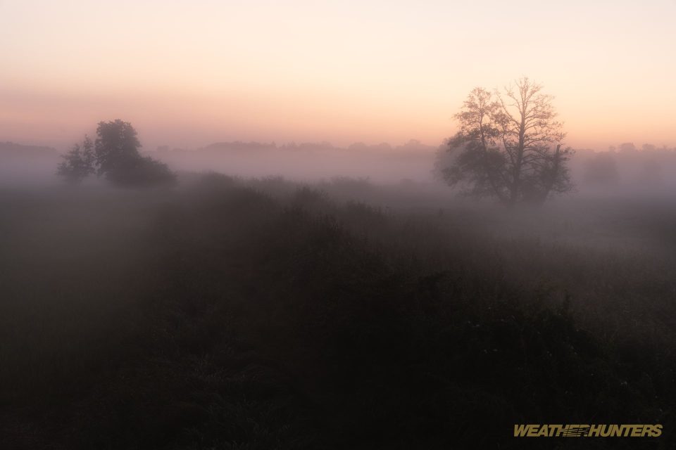 Morgennebel