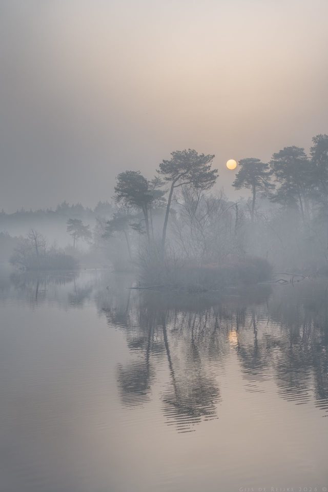 Saharan Dust, Dutch Fog