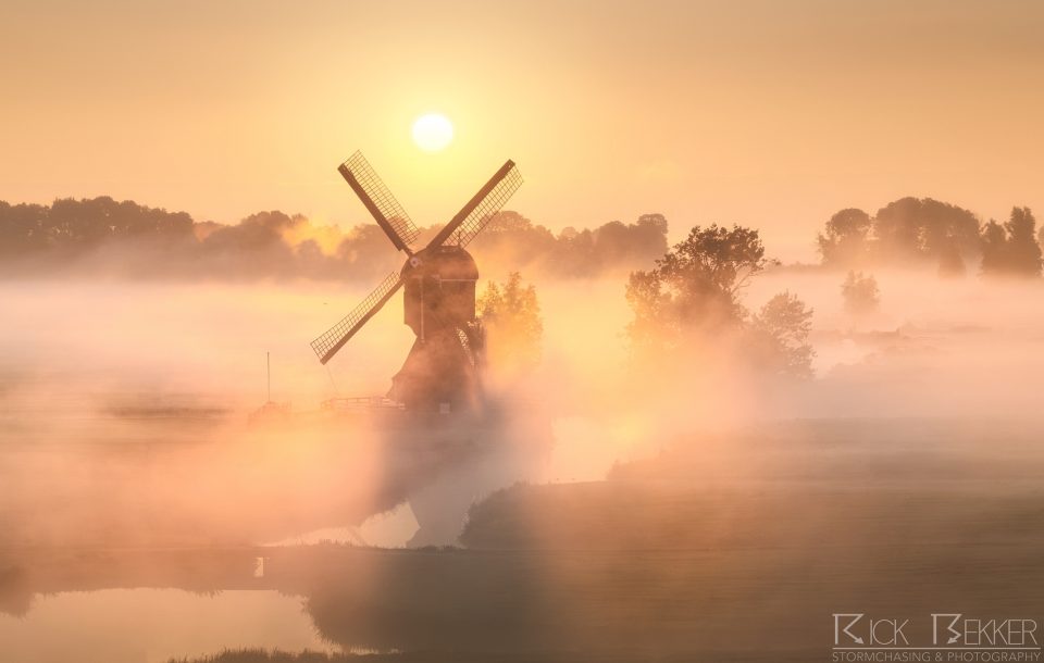 Foggy windmills