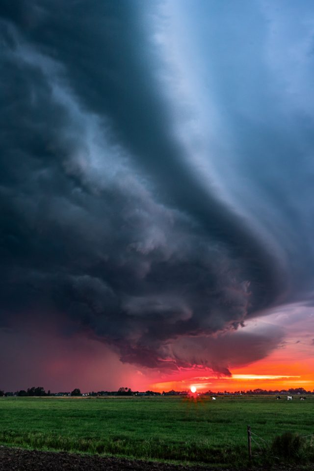 Sunset Biest