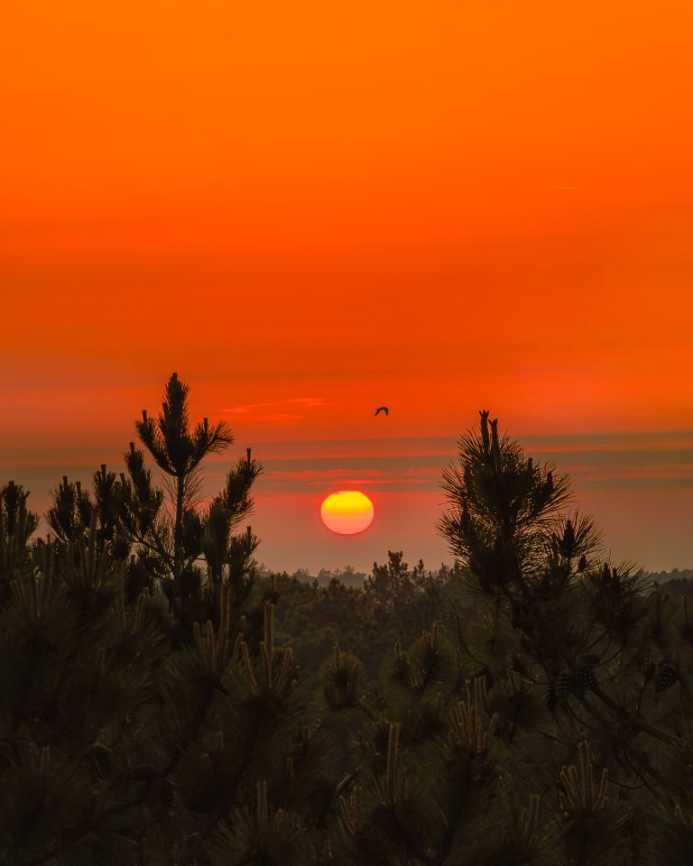 Terschelling, 26.05.26