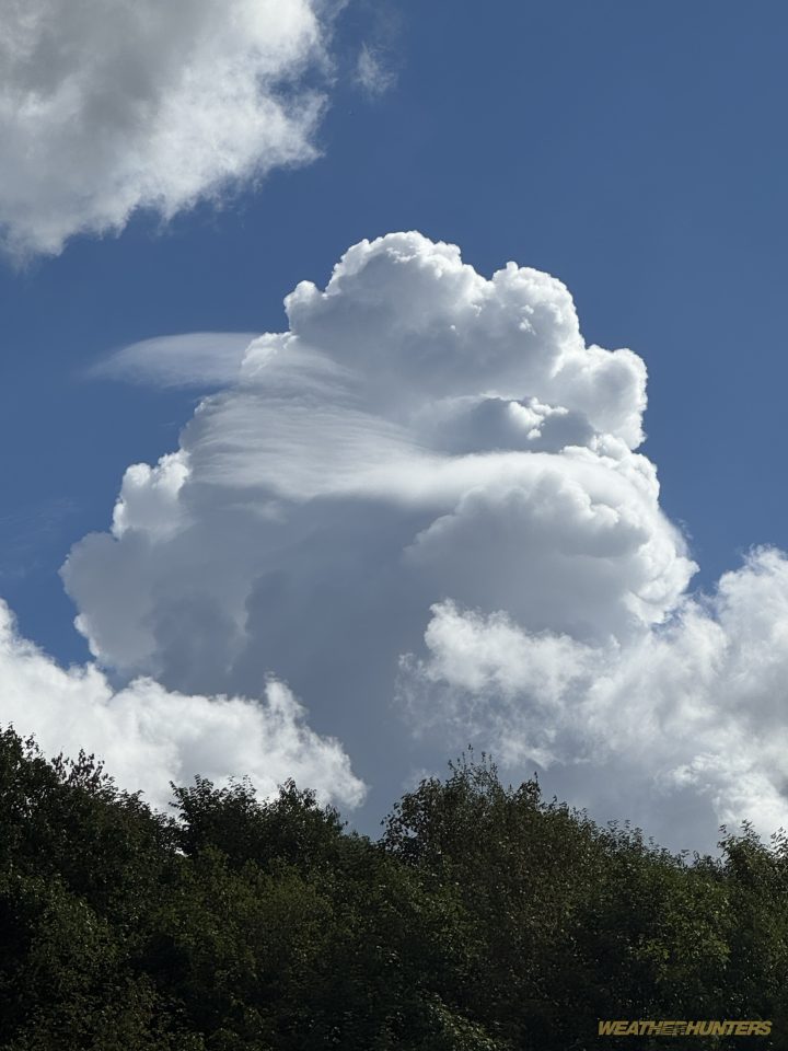 Flauschig